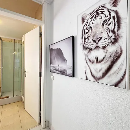 Apartment Breathtaking Ocean & Views By Becherish *