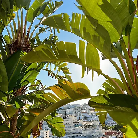 Appartement Breathtaking Ocean & Views By Becherish *